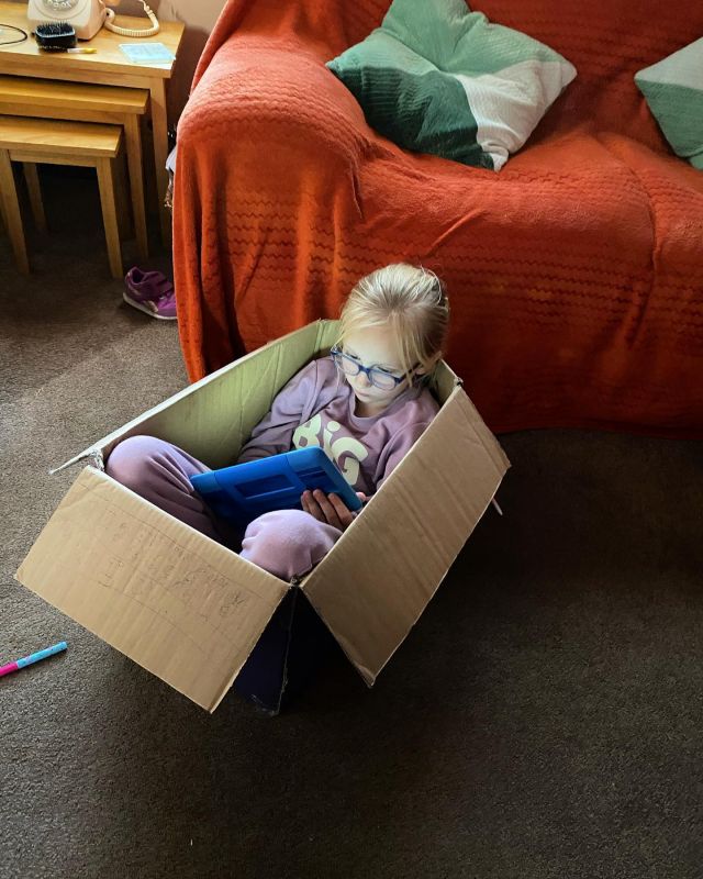 All the toys and she just wants to sit in a box!