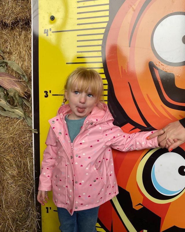 Spent a lovely afternoon at @thepumpkinpatchhightown on Sunday

#pumpkin #pumpkinpicking #pumpkinpatch #familyfun #sundayfunday